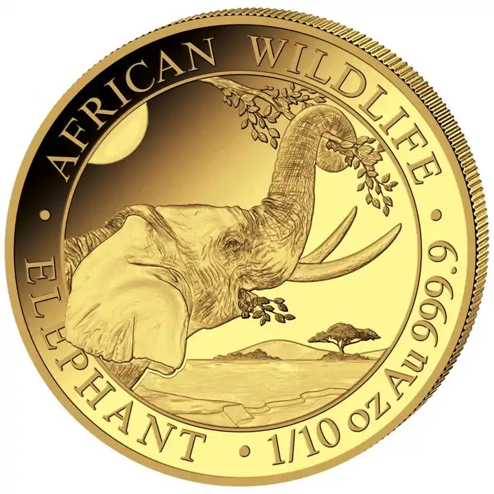 Somalijski Słoń 1/10 uncji 2023 - złota moneta