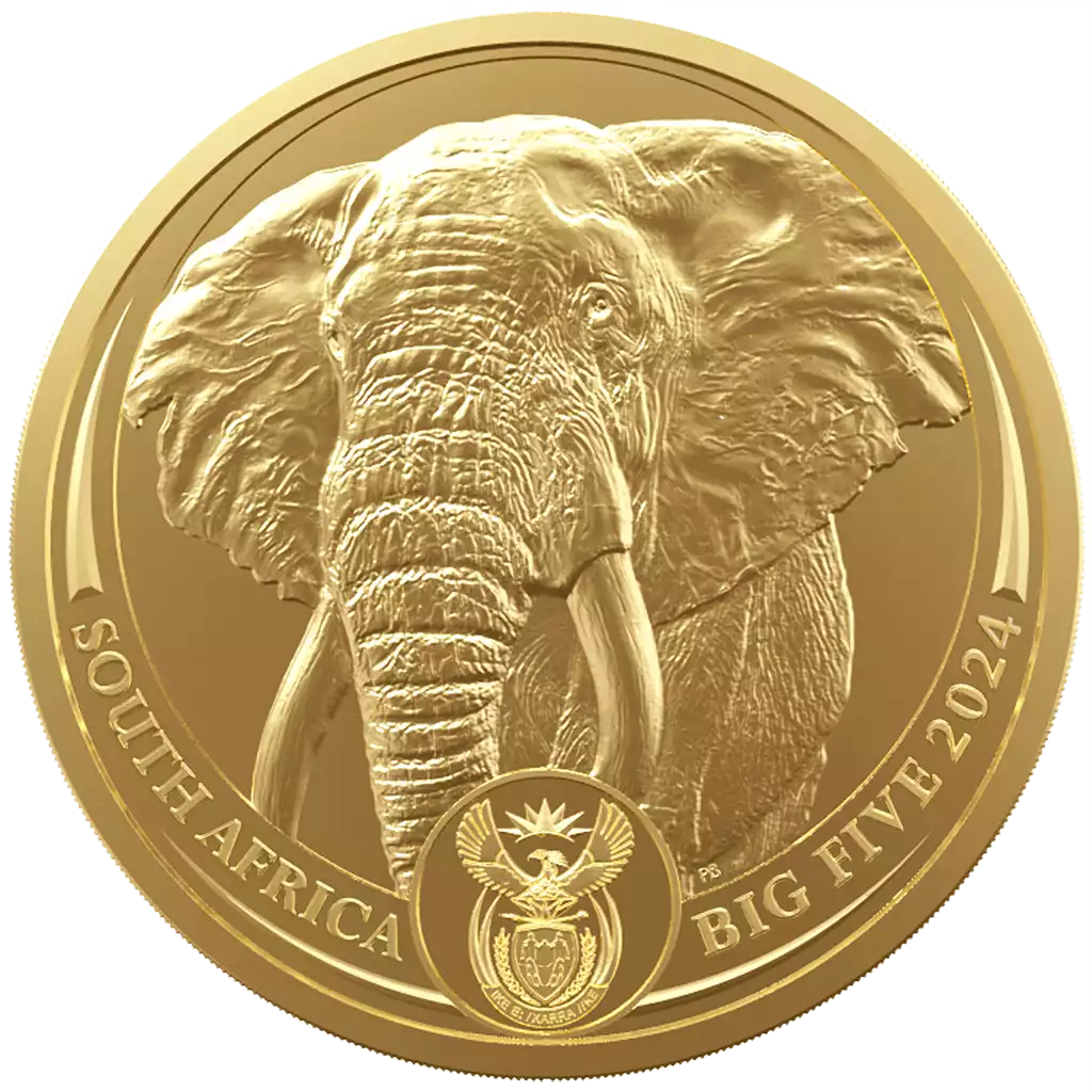 Big Five Słoń 1 uncja 2024 - złota moneta