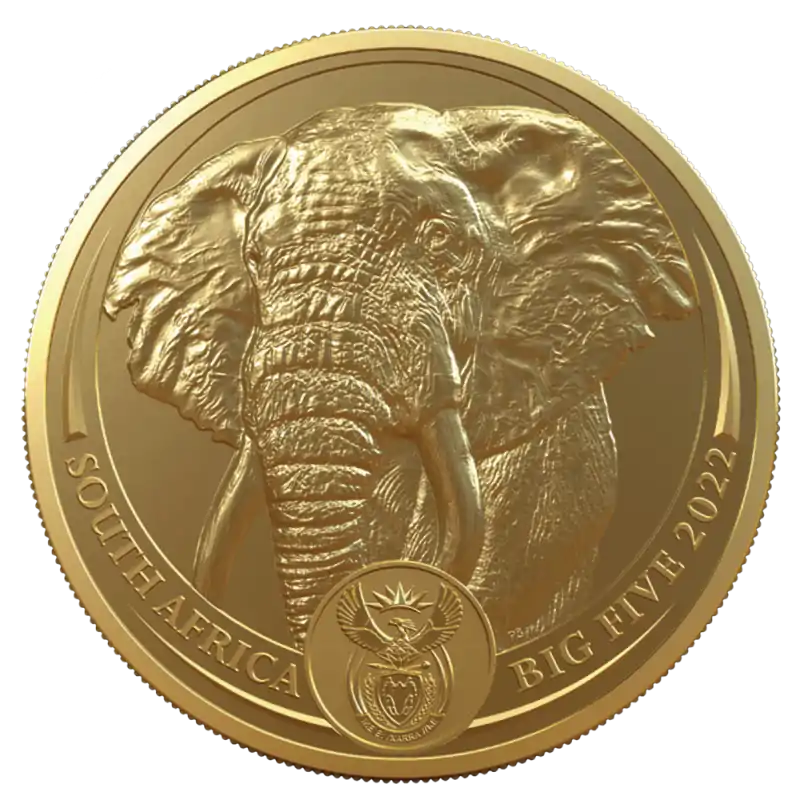 Big Five Słoń 1 uncja 2022 - złota moneta