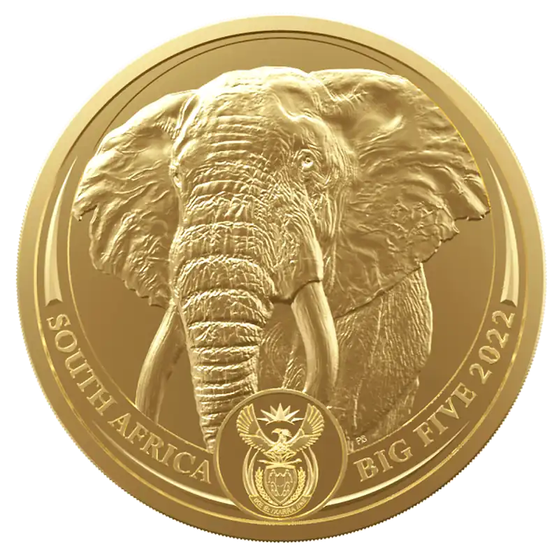 Big Five Słoń 1 uncja 2023 - złota moneta