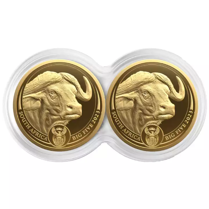 Big Five: Zestaw Bawół 1/4 uncji 2023 Proof - złota moneta