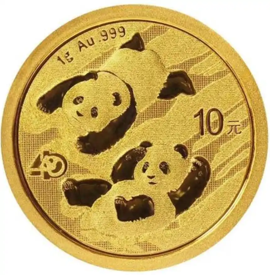 Chińska Panda 1 gram 2022 - złota moneta