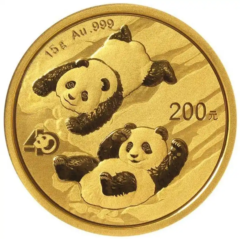 Chińska Panda 15 gramów 2022 - złota moneta