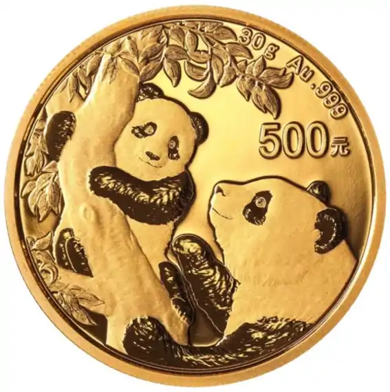 Chińska Panda 30 gramów 2021 - złota moneta