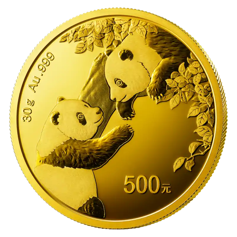 Chińska Panda 30 gramów 2023 - złota moneta
