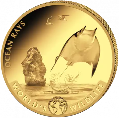 Congo: World's Wildlife - Ocean Rays 1 uncja 2023 - złota moneta
