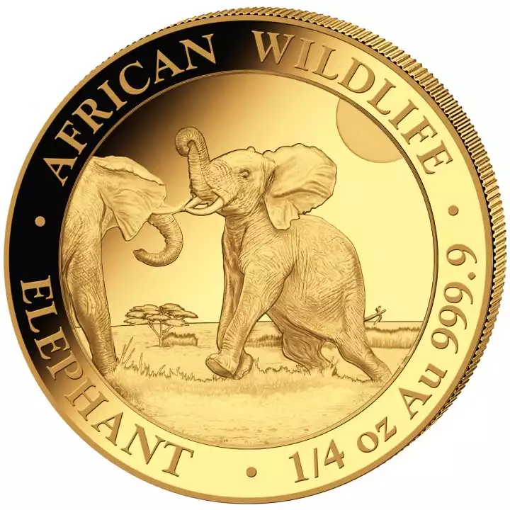 Somalijski Słoń 1/4 uncji 2024 - złota moneta