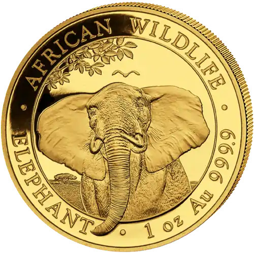 Somalijski Słoń 1 uncja - złota moneta