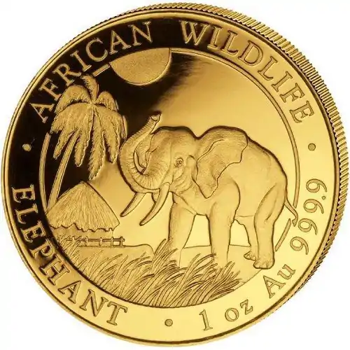 Somalijski Słoń 1 uncja 2017 - złota moneta