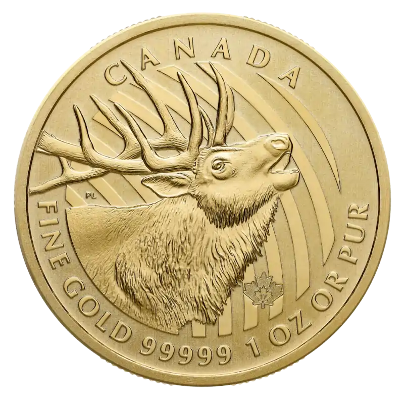 Zew Natury: Kanadyjski Złoty Łoś 1 uncja 2017 - złota moneta