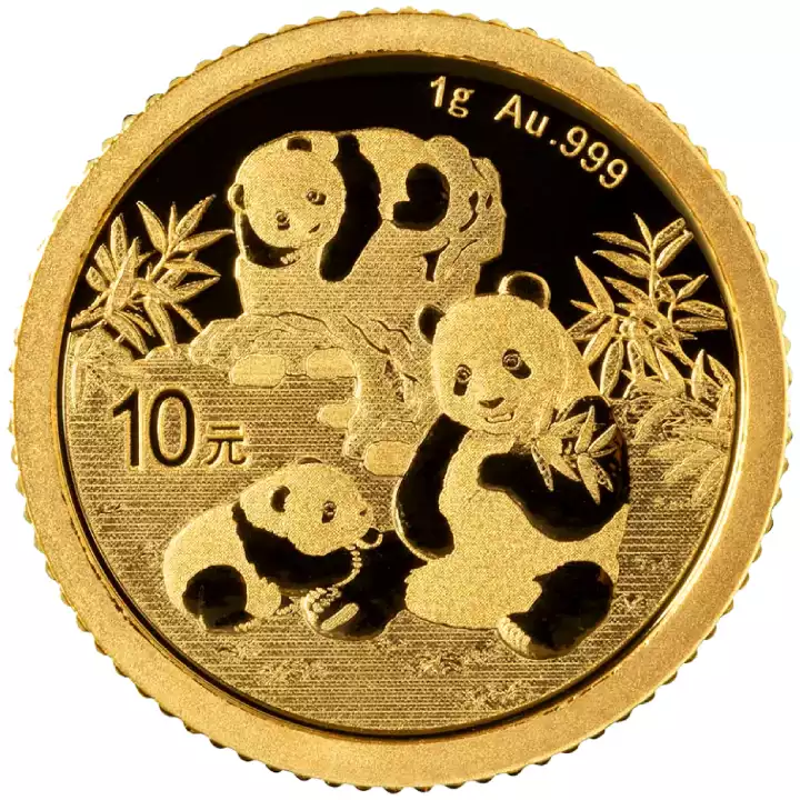 Chińska Panda 1 gram 2025 - złota moneta