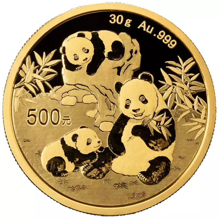 Chińska Panda 30 gramów 2025 - złota moneta