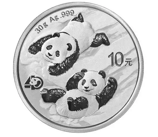 Chińska Panda 30 gramów 2022 - srebrna moneta