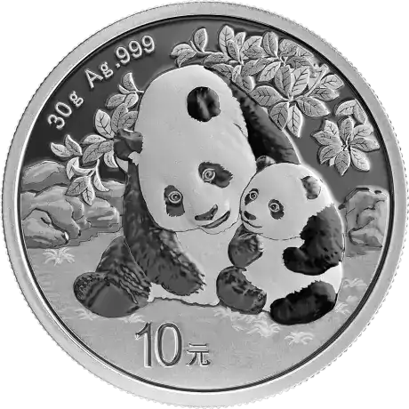 Chińska Panda 30 gramów 2024 - srebrna moneta