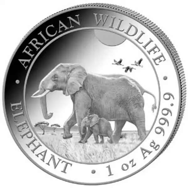 Somalijski Słoń 1 uncja 2022 - srebrna moneta