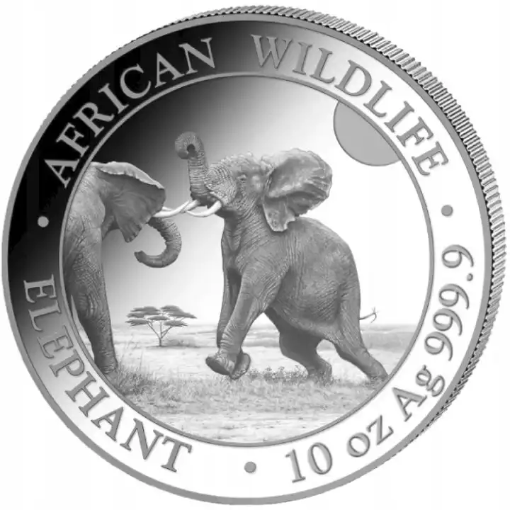 Somalijski Słoń 10 uncji 2024 - srebrna moneta