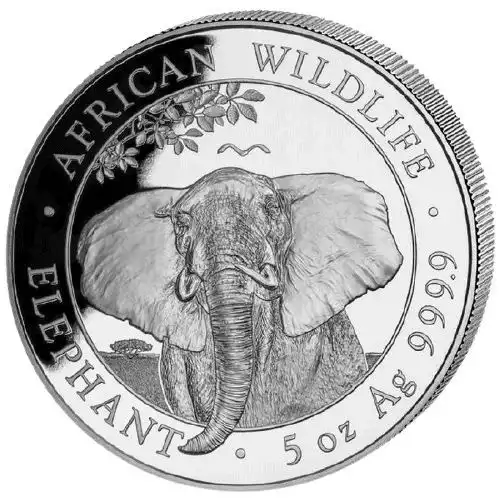 Somalijski Słoń 5 uncji 2021 - srebrna moneta