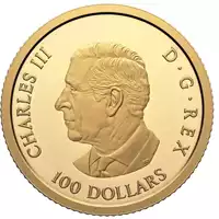 100. rocznica Królewskich Kanadyjskich Sił Powietrznych 2024 Proof złota moneta awers
