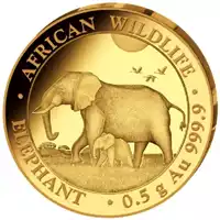 Somalijski Słoń 0,5 grama 2022 - złota moneta