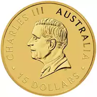 Australijski Kangur 1/10 uncji 2024 złota moneta awers