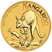 Australijski Kangur 1/2 uncji 2022 - złota moneta