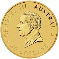 Australijski Kangur 1/2 uncji 2024 złota moneta awers
