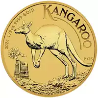 Australijski Kangur 1/2 uncji 2024 - złota moneta