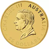 Australijski Kangur 1/4 uncji 2024 złota moneta awers