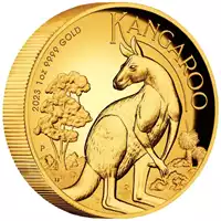 Australijski Kangur 1 uncja 2023 Proof High Relief rewers