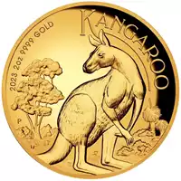 Australijski Kangur 2 uncje 2023 Proof High Relief - złota moneta