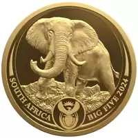 Big Five Słoń 1 uncja 2024 Proof - złota moneta