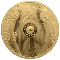 Big Five Słoń 1 uncja 2024 Proof - złota moneta