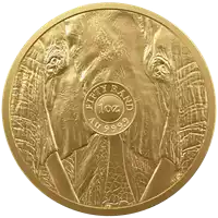 Big Five Słoń 1 uncja 2024 złota moneta awers