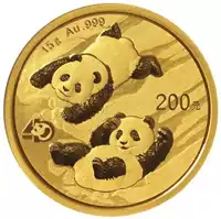 Chińska Panda 15 gramów 2022 - złota moneta