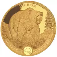 Congo World‘s Wildlife: The Bear 1 uncja 2022 - złota moneta