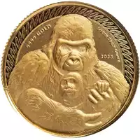 Congo Goryl srebrnogrzbiety 1/10 uncja 2023 - złota moneta