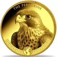Congo: World's Wildlife - Peregrine Falcon 0,5 grama 2024 Proof - złota moneta