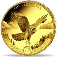 Congo: World's Wildlife - Peregrine Falcon 1 uncja 2024 - złota moneta