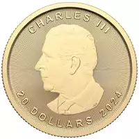 Kanadyjski Liść Klonowy 1/2 uncji 2024 złota moneta awers