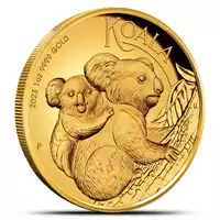 Koala 1 uncja 2023 Proof - złota moneta