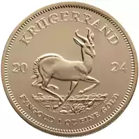 Krugerrand 1 uncja 2024 - złota moneta