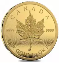 Maplegram Kanadyjski Liść Klonowy 25x1 gram 2022 rewers