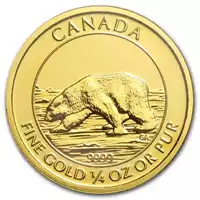 Niedźwiedź Polarny 1/4 uncji - złota moneta