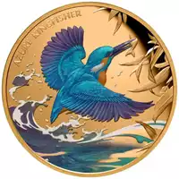 Niue: Azure Kingfisher kolorowany 1 uncja 2023 Proof - złota moneta