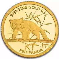 Red Panda 0,5 grama 2023 - złota moneta