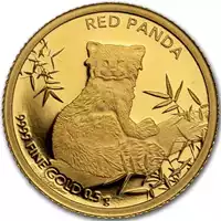 Red Panda 0,5 grama 2024 - złota moneta