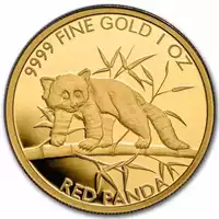 Red Panda 1 uncja 2023 - złota moneta