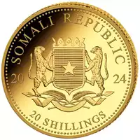 Somalijski Słoń 0,5 grama 2024 Proof złota moneta awers