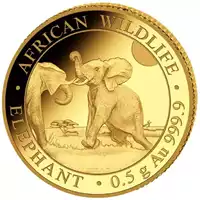 Somalijski Słoń 0,5 grama 2024 Proof - złota moneta
