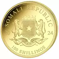 Somalijski Słoń 1/10 uncji 2024 złota moneta awers